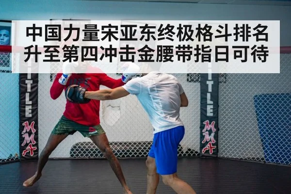 中国力量宋亚东终极格斗排名升至第四冲击金腰带指日可待