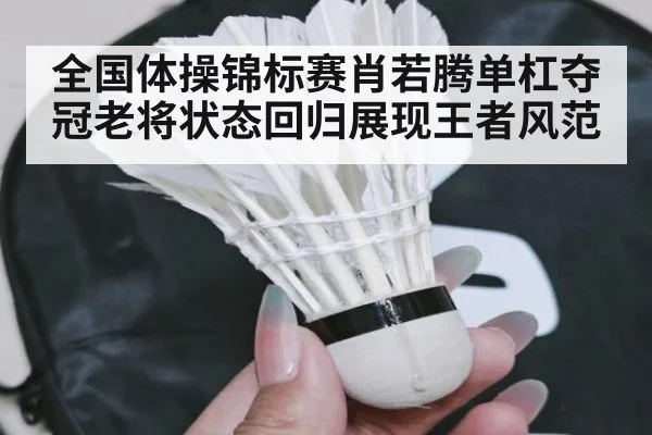 全国体操锦标赛肖若腾单杠夺冠老将状态回归展现王者风范