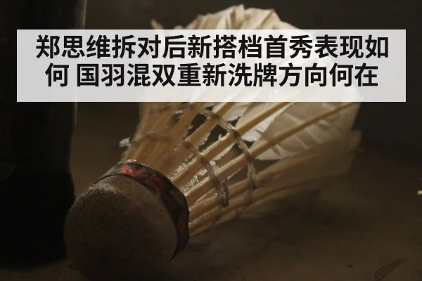 郑思维拆对后新搭档首秀表现如何 国羽混双重新洗牌方向何在
