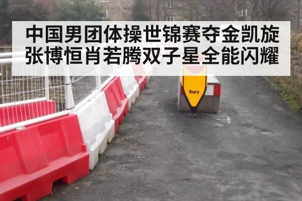中国男团体操世锦赛夺金凯旋 张博恒肖若腾双子星全能闪耀