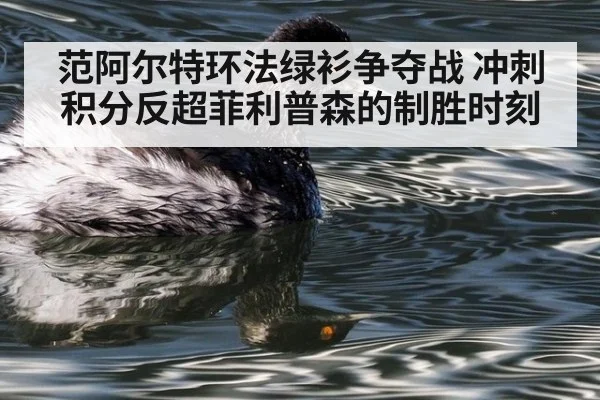 范阿尔特环法绿衫争夺战 冲刺积分反超菲利普森的制胜时刻